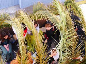 Visca Sant Antoni
