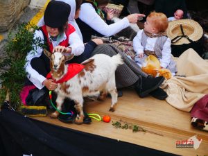 Visca Sant Antoni