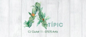 Cocktailbar Mallorca