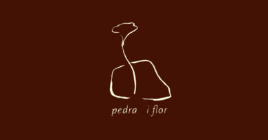 Pedra i Flor | Arta